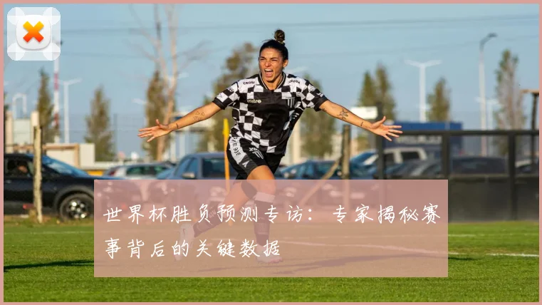 世界杯胜负预测专访:专家揭秘赛事背后的关键数据