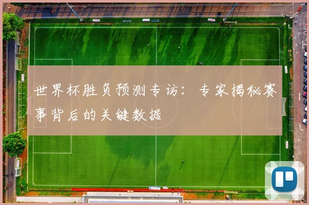 世界杯胜负预测专访：专家揭秘赛事背后的关键数据