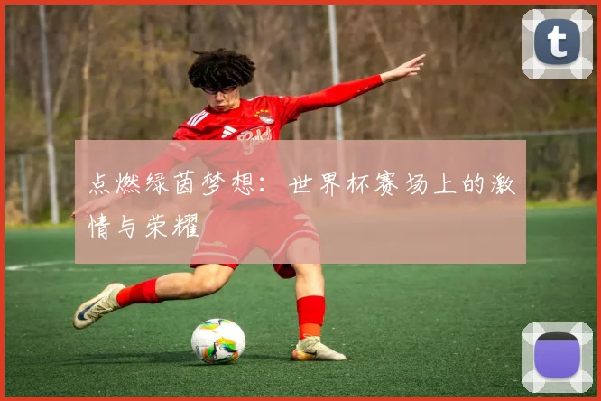 点燃绿茵梦想：世界杯赛场上的激情与荣耀