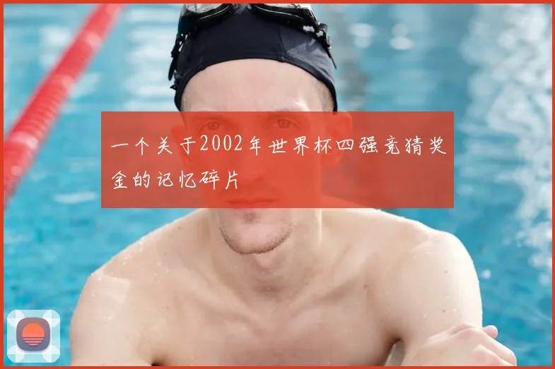 一个关于2002年世界杯四强竞猜奖金的记忆碎片