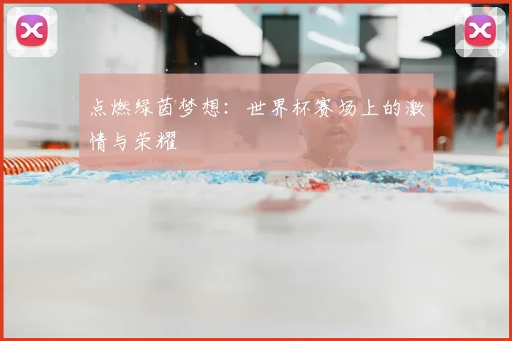 点燃绿茵梦想:世界杯赛场上的激情与荣耀