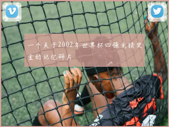 一个关于2002年世界杯四强竞猜奖金的记忆碎片