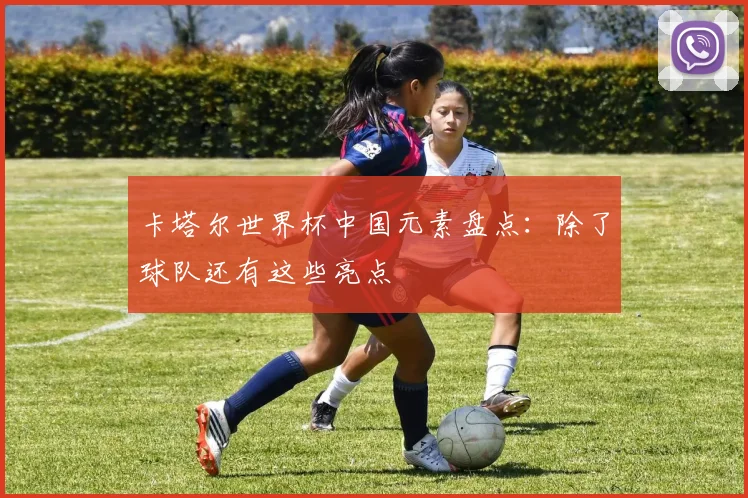 卡塔尔世界杯中国元素盘点:除了球队还有这些亮点