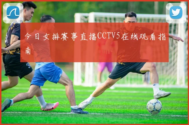 今日女排赛事直播CCTV5在线观看指南